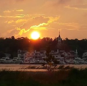 Meet your Posher, Doreen